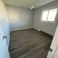 Image2